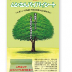 ムシさんバイバイシート(虫さんバイバイシート)はコチラ、楽天や口コミや効果について