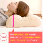 枕専門店、リビングインピースさんを紹介。人気のいびき枕など!